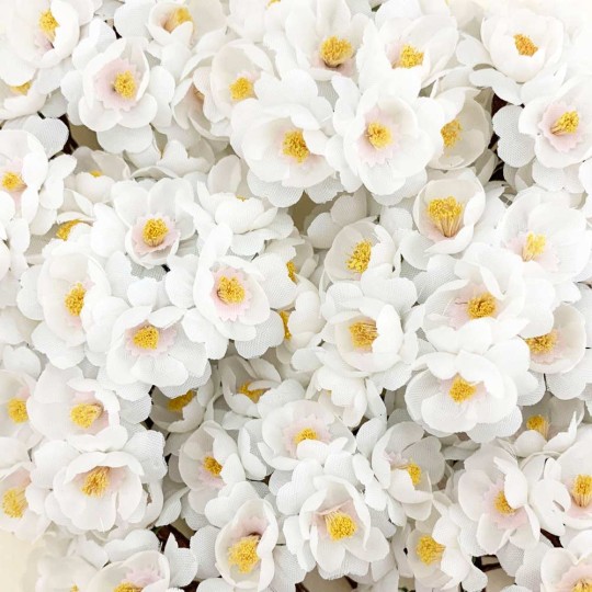 12 White Apple Blossoms ~ 3/4"